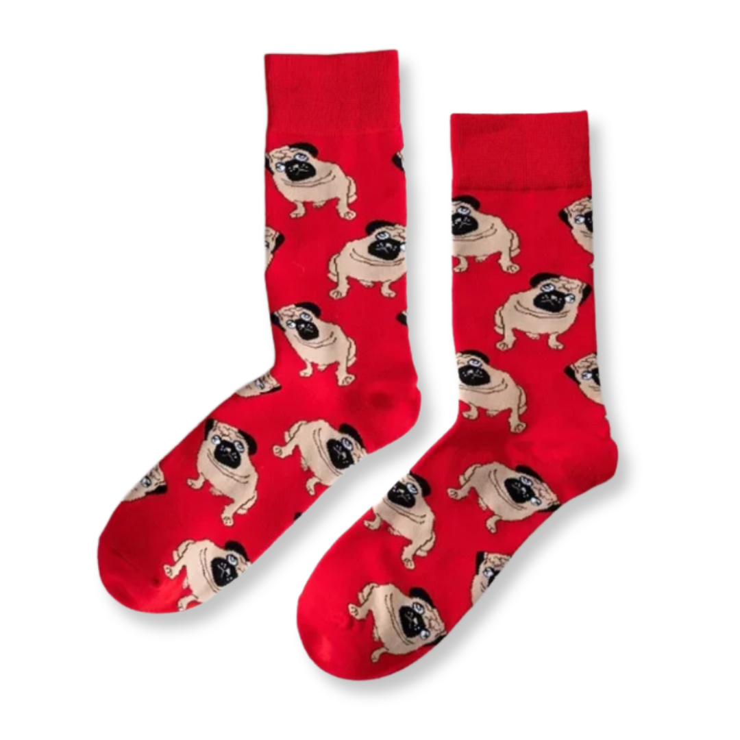 Red socks with pug dog pattern on a white background